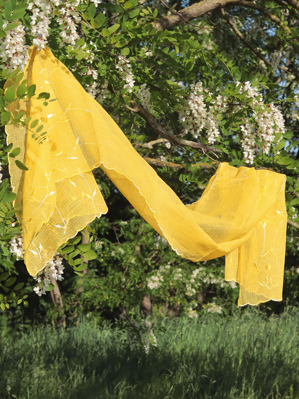 Seine - Kota Doria Yellow Shawl