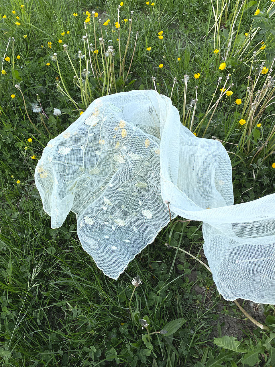 Seine - Kota Doria Witte Sjaal