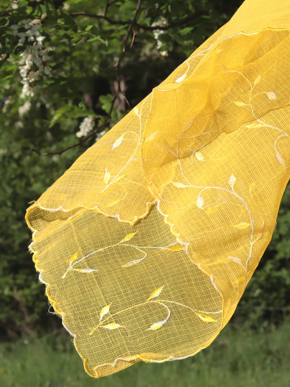 Seine - Kota Doria Yellow Shawl
