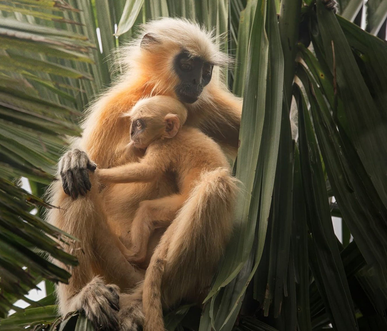 The Lives We Share This World With