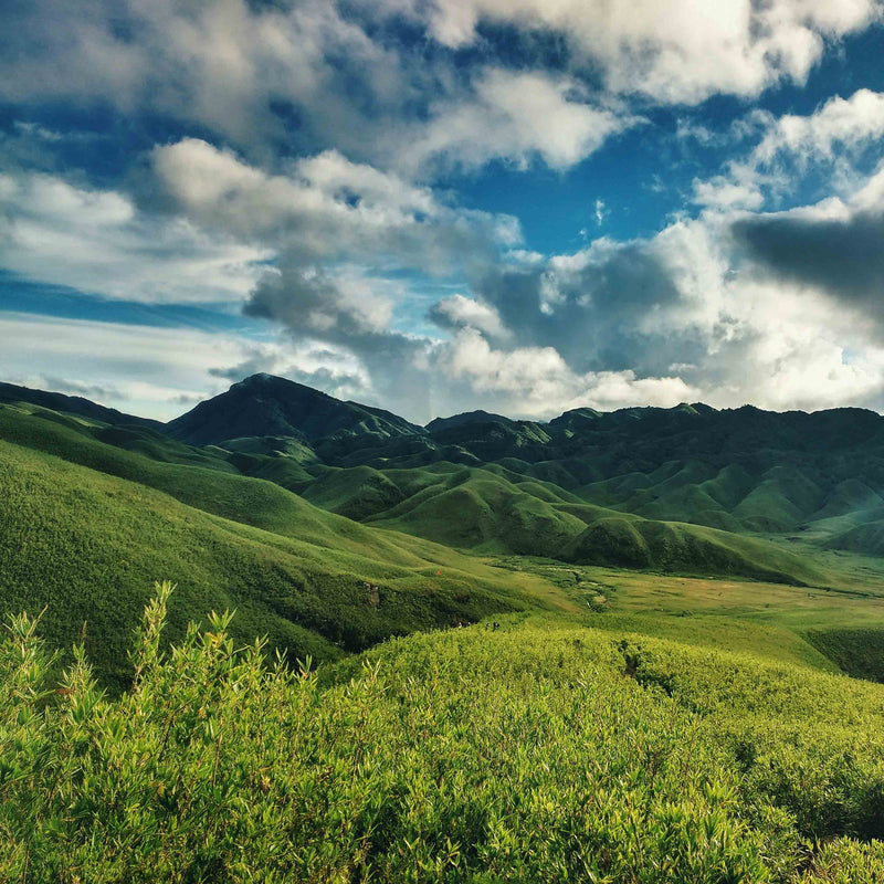 Nature is Home