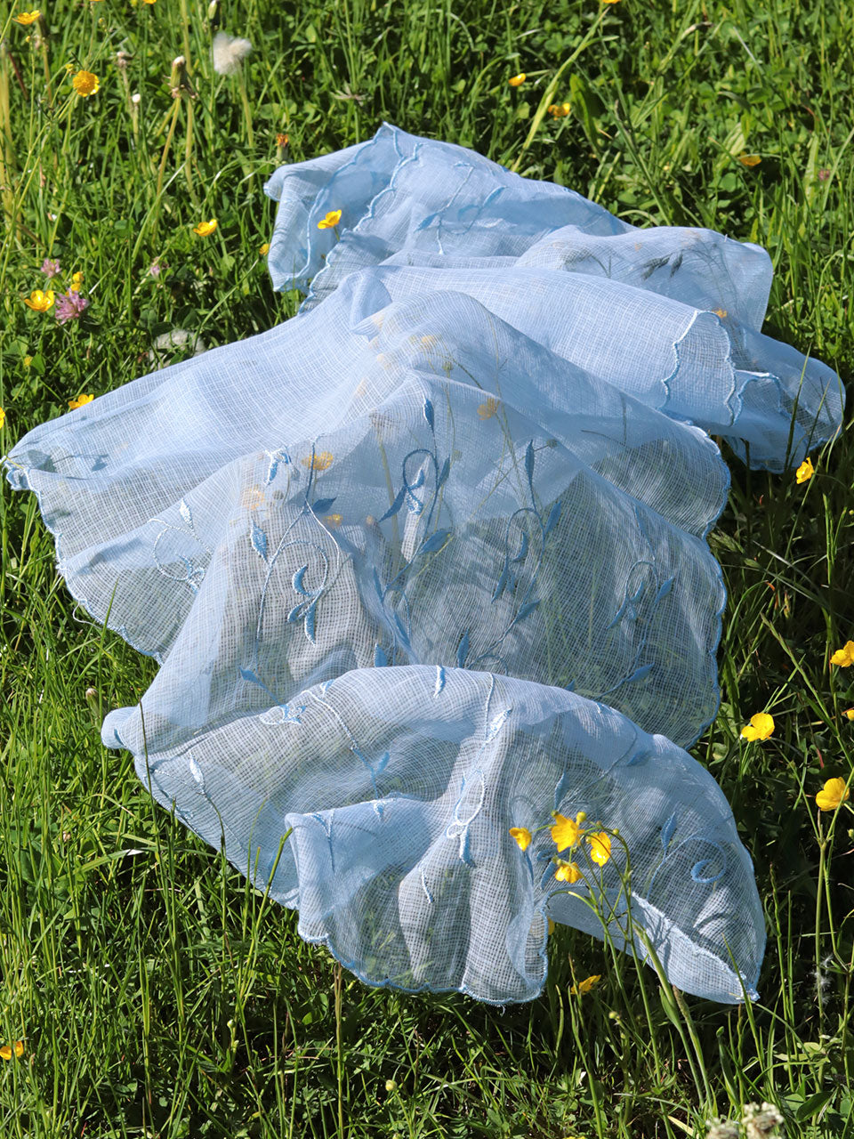 Seine - Kota Doria Blue Shawl