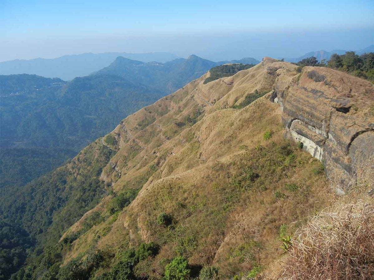 Reiek Peak — Where the Hills Hold the Mist